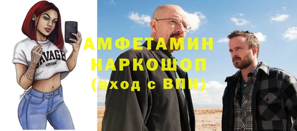 соль ск Вяземский