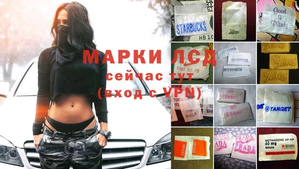 стафф Волоколамск