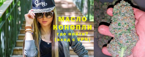 крисы Бронницы