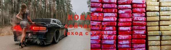 соль ск Вяземский